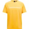 Blaz orange