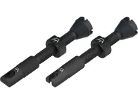 Peaty's Chris King Edition MK2 Tubeless Ventil 2er-Set