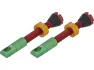 Rasta