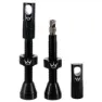 Peaty's Tubeless-ventile 26 Einheiten