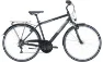 Pegasus Avanti 18 - 28 Zoll 18K Diamant