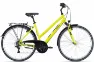 Pegasus Avanti 18 - 28 Zoll 18K Trapez