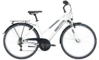 Pegasus Avanti 18 - 28 Zoll 18K Trapez Pegasus Avanti 18 - 28 Zoll 18K Trapez