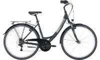 Pegasus Avanti 18 - 28 Zoll 18K Wave