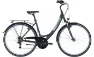 Pegasus Avanti 18 - 28 Zoll 18K Wave