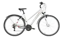 Pegasus Avanti Sport 18 - 28 Zoll 18K Trapez Pegasus Avanti Sport 18 - 28 Zoll 18K Trapez
