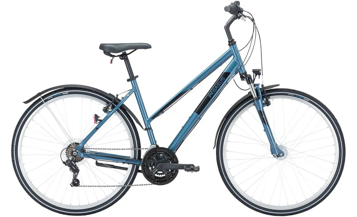 Pegasus Avanti Sport 18 - 28 Zoll 18K Trapez Pegasus Avanti Sport 18 - 28 Zoll 18K Trapez