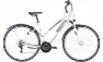 Pegasus Avanti Sport 18 - 28 Zoll 18K Trapez