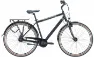Pegasus Piazza 8 - 28 Zoll 8N-RT Diamant