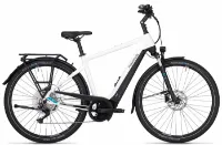 Pegasus Premio Evo 10 Lite 750 - 28 Zoll 750Wh 10K Diamant Pegasus Premio Evo 10 Lite 750 - 28 Zoll 750Wh 10K Diamant