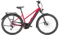 Pegasus Premio Evo 10 Lite 750Wh 10K Trapez Pegasus Premio Evo 10 Lite 750Wh 10K Trapez