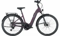 Pegasus Premio Evo 11 Lite Pegasus Premio Evo 11 Lite