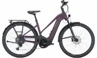 Pegasus Premio Evo 11 Lite - 28 Zoll 11K Trapez Pegasus Premio Evo 11 Lite - 28 Zoll 11K Trapez