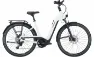 Pegasus Premio Evo 11 Lite - 28 Zoll 11K Wave