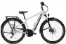 Pegasus Savino Evo 10 CX - 625Wh 10K Diamant
