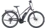 Pegasus Solero E8 Plus - 28 Zoll 500Wh 8K Trapez
