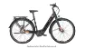 Pegasus Tecaro Evo NuE Enviolo Wave, Schwarz,braun, 45cm