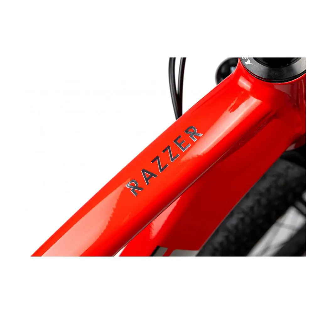 Pells Razzer Evo 1 29´´ Xt Rd-m8100 2024 Mountainbike Pells Razzer Evo 1 29´´ Xt Rd-m8100 2024 Mountainbike