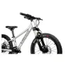 Pells Rocket Air 20´´ Microshift Acolyte Rd-m5185m Mountainbike, Silver, One Size