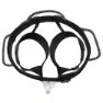 Petzl Aquila Gurtzeug