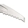 Petzl Glacier Eispickel