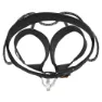 Petzl Hirundos Gurtzeug