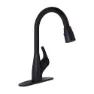 Phoenix Premium Single Wasserhahn, Matte black, 203.20mm
