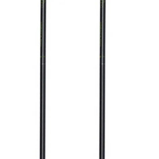 Pinguin Compact Fl Foam Stöcke, Grey, One Size Pinguin Compact Fl Foam Stöcke, Grey, One Size