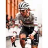 Pissei Replica World Champion Tadej Pogacar 2024 Uae Team Emirates Kurzarm-radtrikot