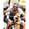 Pissei Replica World Champion Tadej Pogacar 2024 Uae Team Emirates Kurzarm-radtrikot