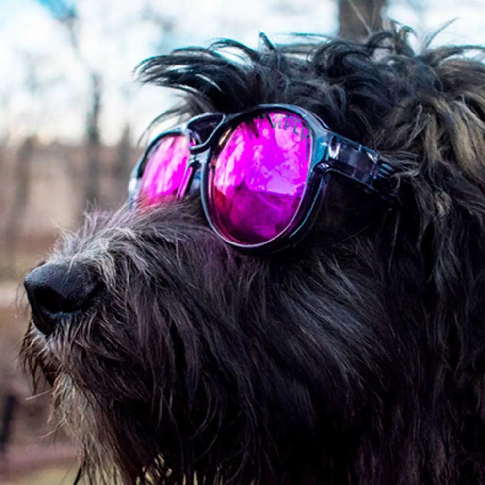 Pit Viper The Exciters Smoke Show Polarisierte Sonnenbrille, Clear black, Pink Mirror/CAT3 Pit Viper The Exciters Smoke Show Polarisierte Sonnenbrille, Clear black, Pink Mirror/CAT3
