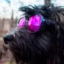 Pit Viper The Exciters Smoke Show Polarisierte Sonnenbrille, Clear black, Pink Mirror/CAT3