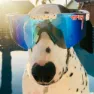 Pit Viper The Originals Absolute Sonnenbrille, White, Blue/CAT3