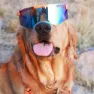 Pit Viper The Originals Crush Sonnenbrille, Orange / black, Blue Mirror/CAT3
