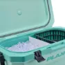 Plano 32qt Steife Tragbare Kühlbox