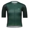 Pargasite green 1