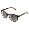 Tortoise brown