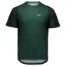 Pargasite green 1