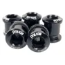 Praxis 48/32t Kettenblattschraubensatz, Black, One Size