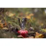 Primus Firestick Campingkocher, Silver, One Size