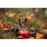 Primus Firestick Stove Ti Campingkocher, One size