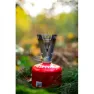 Primus Firestick Stove Ti Campingkocher, One size