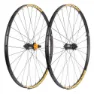 Black / gold