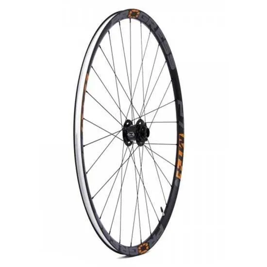Progress Mt+ Dh 2019 29´´ Disc Mtb Vorderrad, Black, 15/20 x 100/110mm Progress Mt+ Dh 2019 29´´ Disc Mtb Vorderrad, Black, 15/20 x 100/110mm