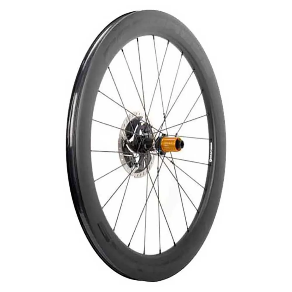 Progress Neon Disc Rennrad-hinterrad Progress Neon Disc Rennrad-hinterrad