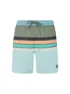 Protest Herren Badeshort PRTAvik