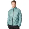 Arctic green