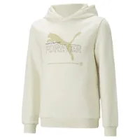 Puma Ess Better Tr Kapuzenpullover male