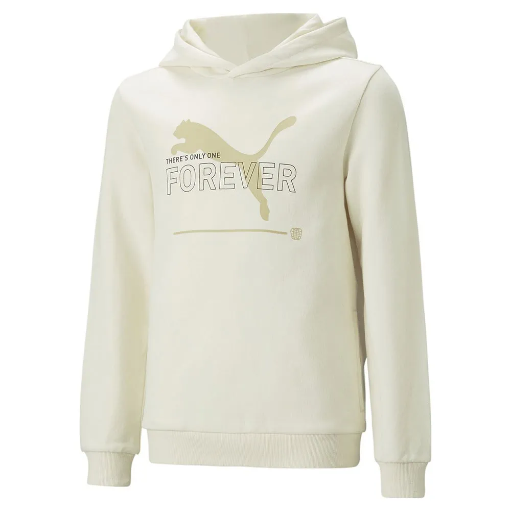 Puma Ess Better Tr Kapuzenpullover male Puma Ess Better Tr Kapuzenpullover male