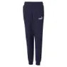 Puma Ess Logo Tr Cl Hosen male